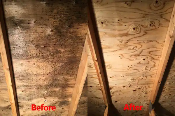 water damage restoration service Highland Heights